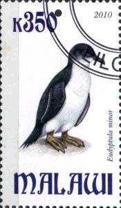 Stamp, Eudyptula minor, Cinderellas,  , Animals (Fauna), Birds, Penguins