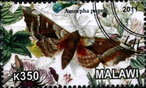 Stamp, Amorpha populi, Cinderellas,  , Butterflies
