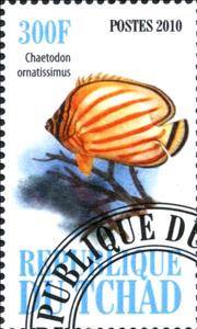 Stamp, Chaetodon ornatissimus, Cinderellas,  , Fishes