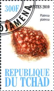 Stamp, Platessa platessa, Cinderellas,  , Fishes