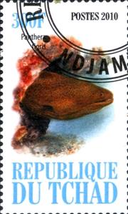 Stamp, Fish, Cinderellas,  , Fishes