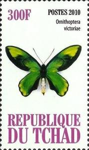 Stamp, Ornithoptera  victoriae, Cinderellas,  , Butterflies