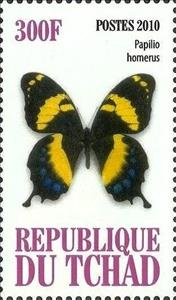 Stamp, Papilio homerus, Cinderellas,  , Butterflies