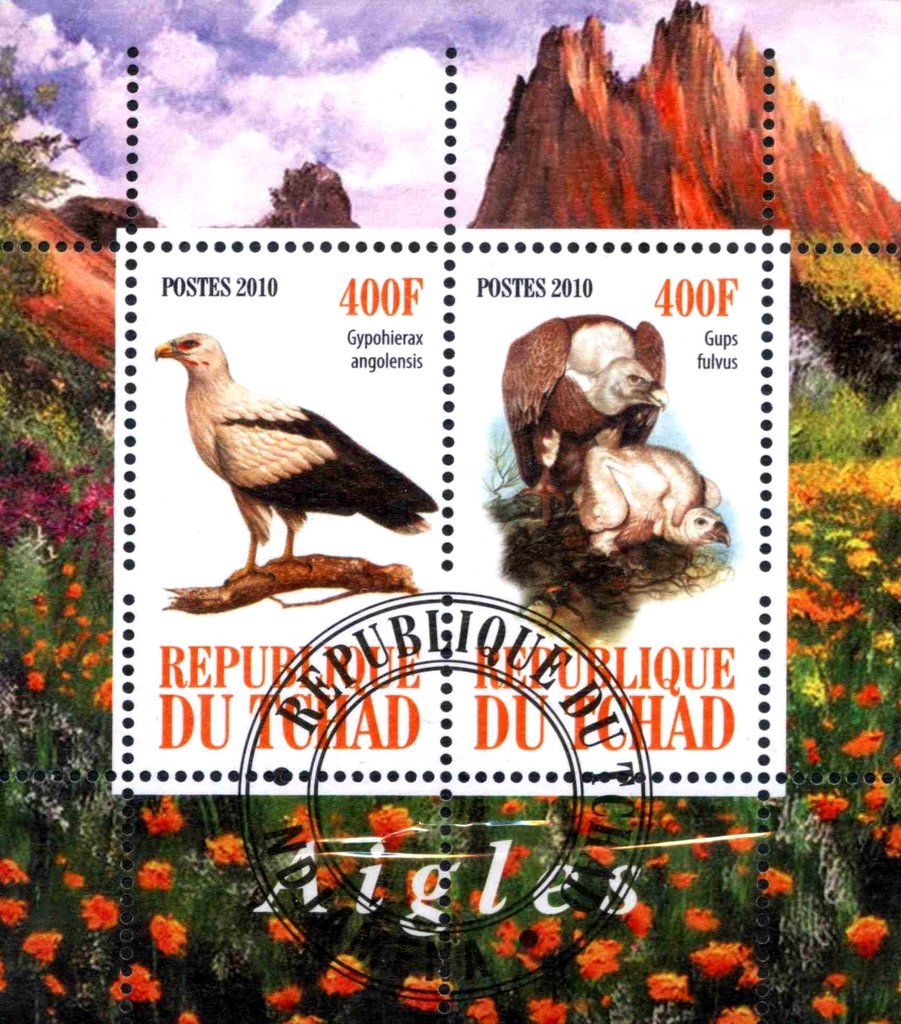 Aigles