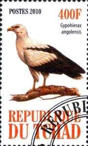 Stamp, Gypohierax angolensis, Cinderellas,  , Animals (Fauna), Birds, Birds of Prey