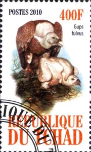 Stamp, Gups fulvus, Cinderellas,  , Animals (Fauna), Birds, Birds of Prey