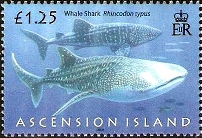 Stamp, Whale Shark (Rhyncodon typus), Ascension Island,  , Animals (Fauna), Fishes, Sea Life, Sharks