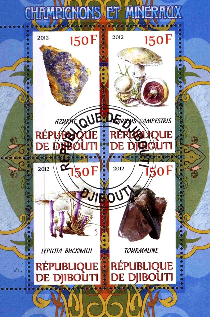 Champignons et mineraux
