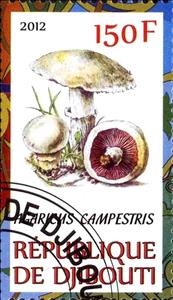 Stamp, Agaricus campestris, Cinderellas,  , Mushrooms