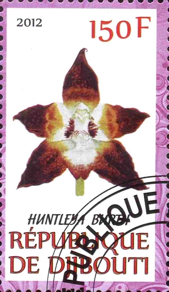 Huntleya