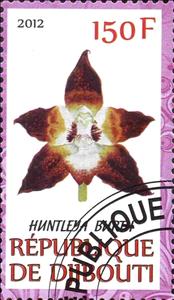 Stamp, Huntleya, Cinderellas,  , Orchids
