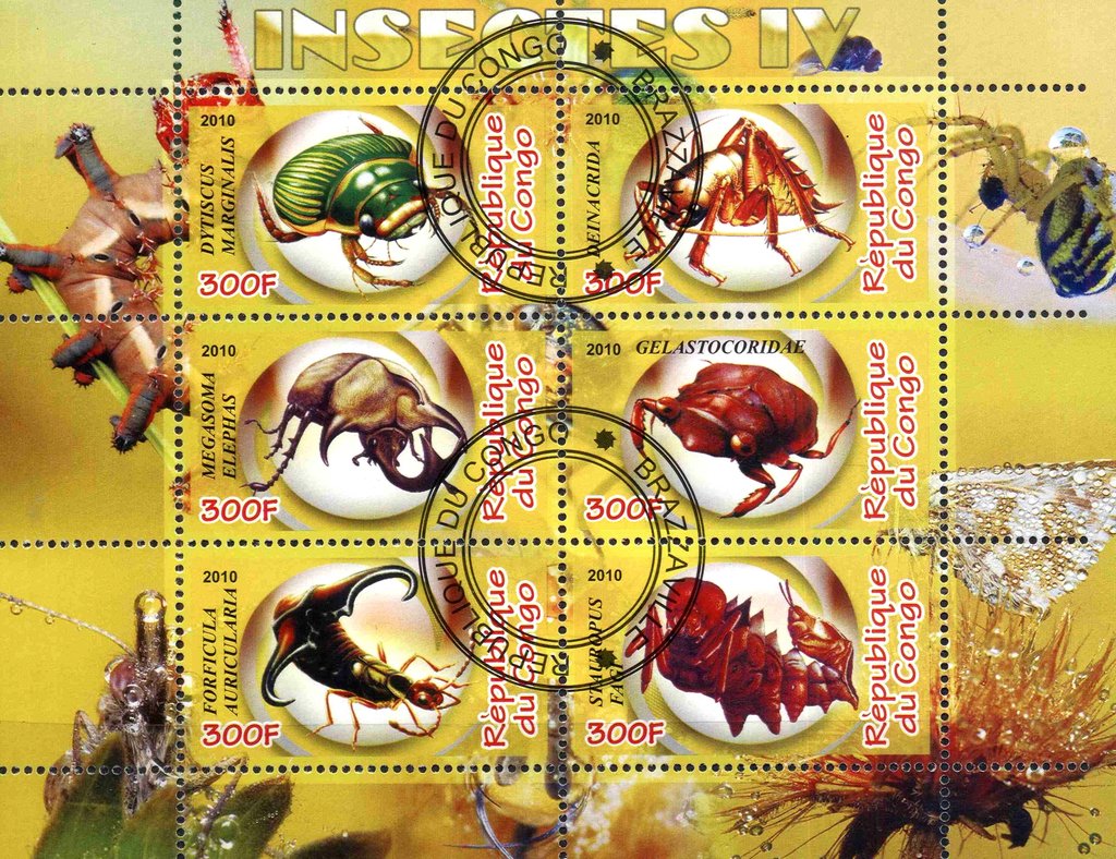 Insectes IV