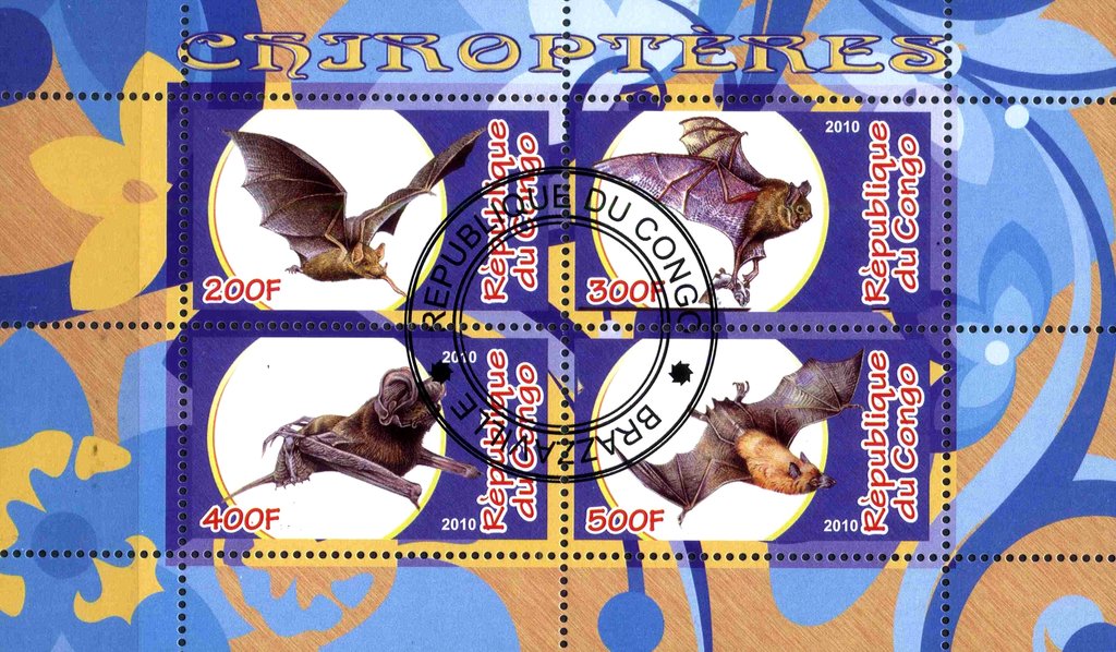 The bats