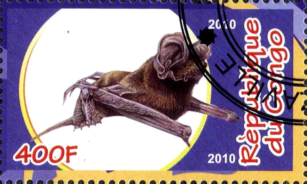 Fauna