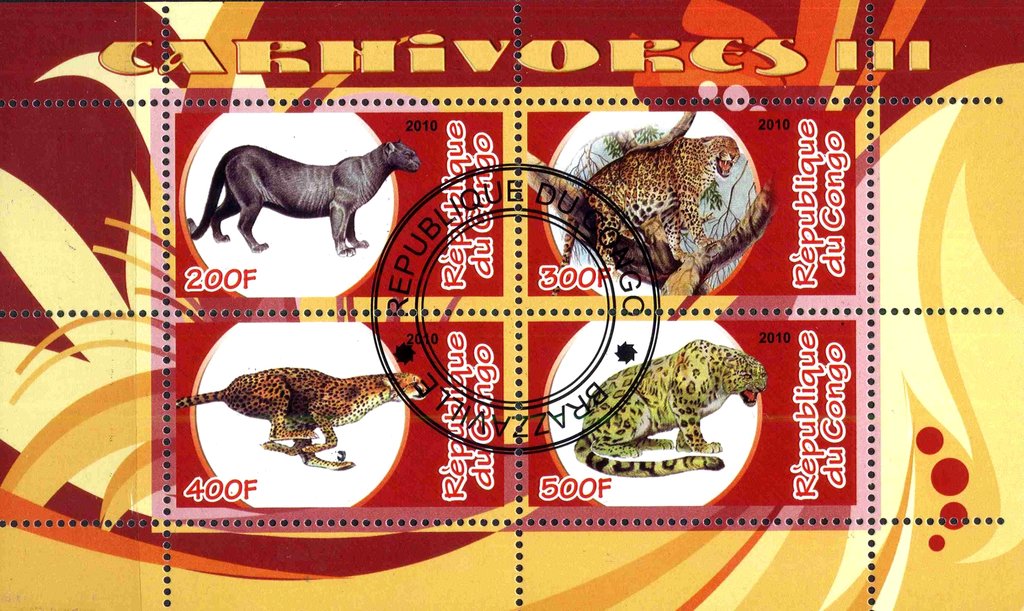 Carhivores III