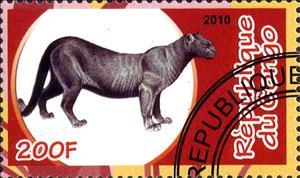 Stamp, Fauna, Cinderellas,  