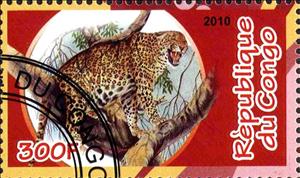 Stamp, Fauna, Cinderellas,  