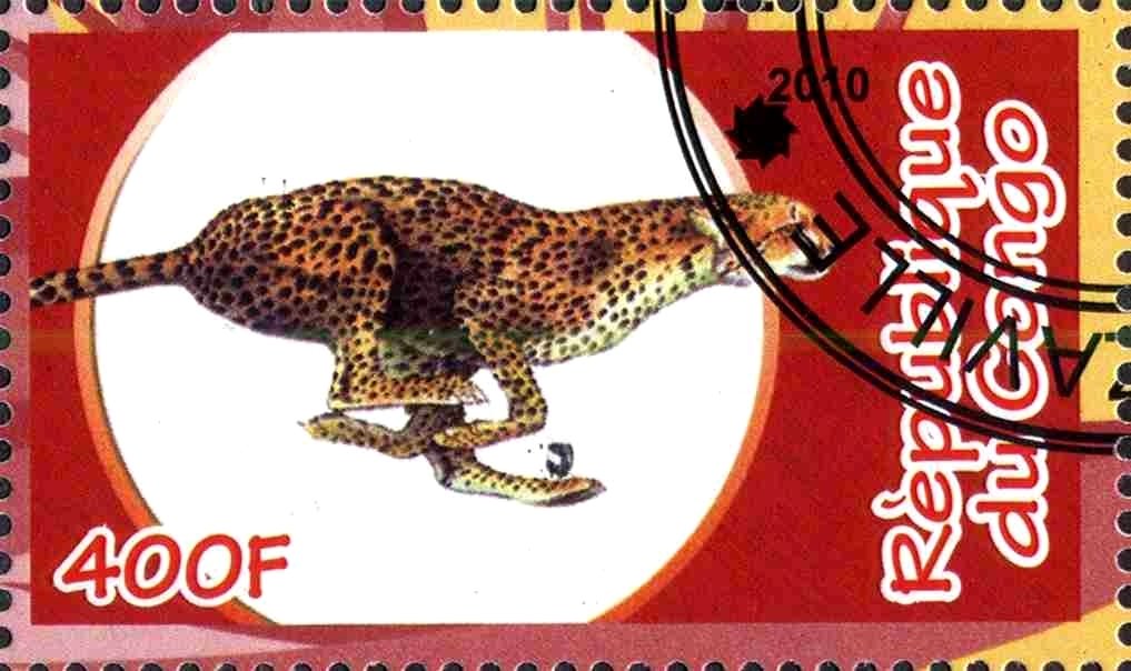 Fauna