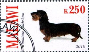Stamp, Miniature Dachshun, Cinderellas,  , Dogs