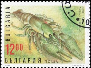 Stamp, Noble Crayfish (Astacus astacus), Bulgaria,  , Animals (Fauna)