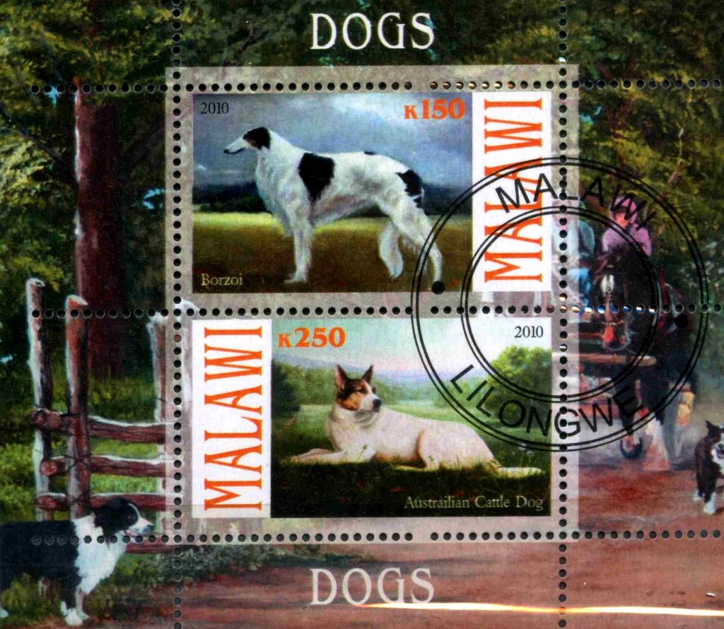 Dogs
