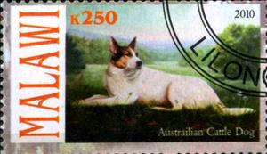 Stamp, Austrailian Cattle Dog, Cinderellas,  , Dogs