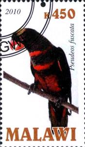 Stamp, Pseudeos fuscata, Cinderellas,  , Birds