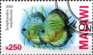 Stamp, Symphysodos aequifasciata, Cinderellas,  , Fishes