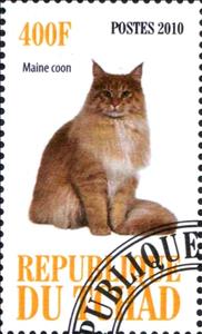 Stamp, Maine coon, Cinderellas,  , Animals (Fauna), Cats, Mammals