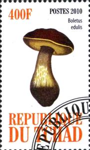 Stamp, Boletus edulis, Cinderellas,  , Mushrooms
