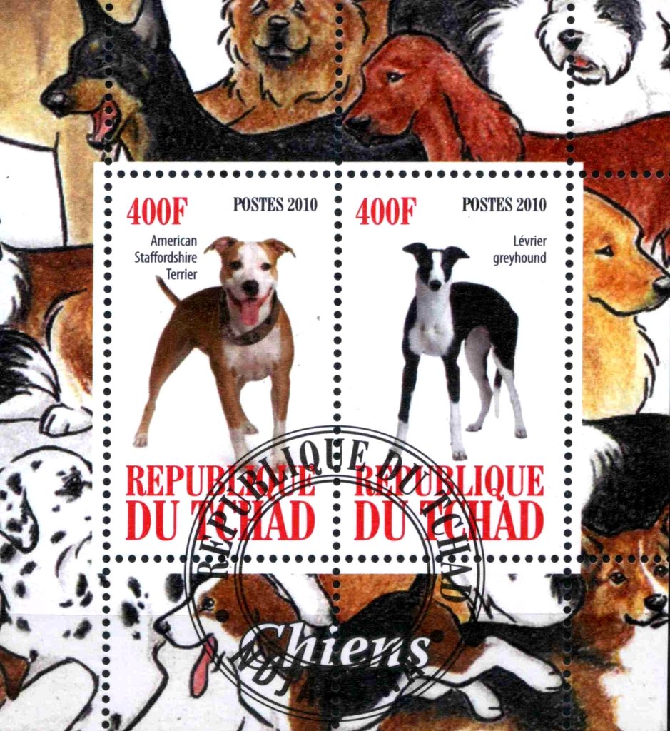 Chiens