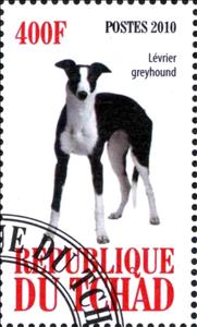 Stamp, Levrier greyhound, Cinderellas,  , Animals (Fauna), Dogs, Mammals