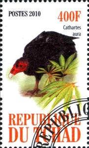 Stamp, Cathartes aura, Cinderellas,  , Animals (Fauna), Birds