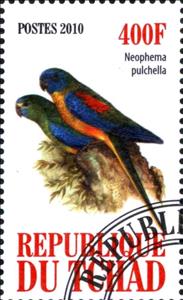 Stamp, Neophema pulchella, Cinderellas,  , Animals (Fauna), Birds