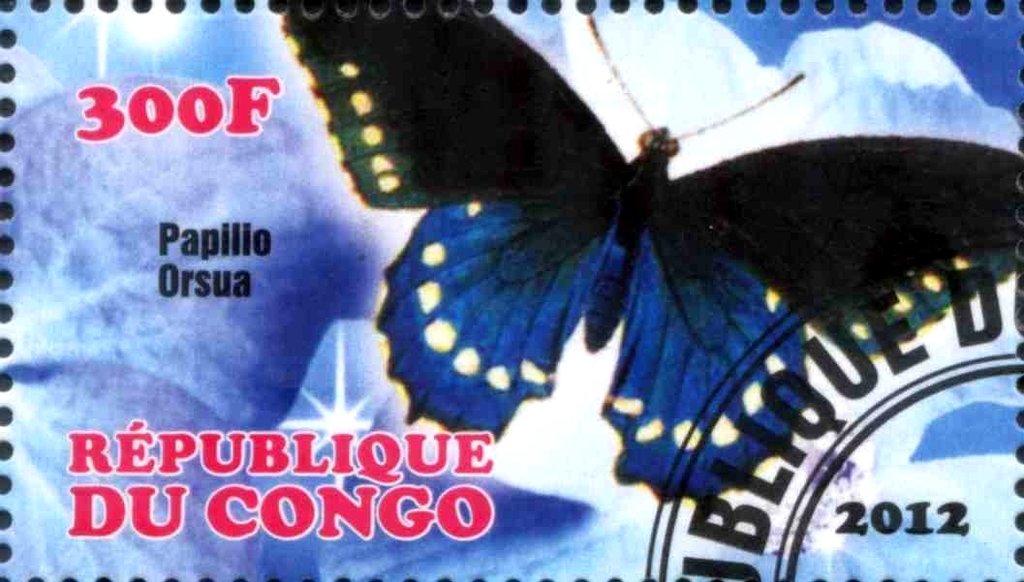 Papilio orsua