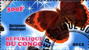 Stamp, Opsiphanes staudingeri, Cinderellas,  , Butterflies