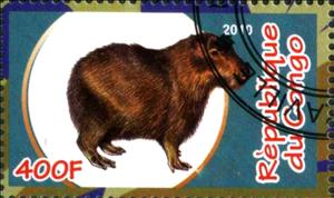 Stamp, Fauna, Cinderellas,  