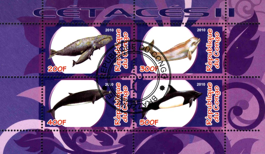 Cetaces II