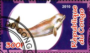 Stamp, Whale, Cinderellas,  , Whales