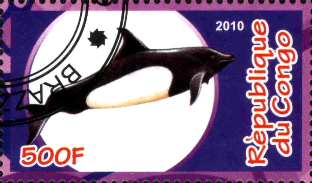 Whale