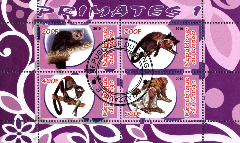 Primates I