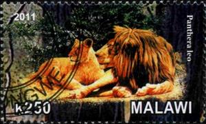 Stamp, Lion (Panthera leo), Cinderellas,  , Animals (Fauna)