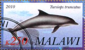 Stamp, Tursiops truncatus, Cinderellas,  , Animals (Fauna), Dolphins