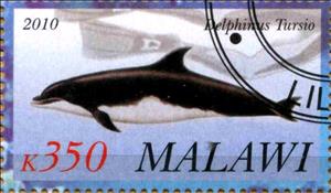Stamp, Delphinus Tursio, Cinderellas,  , Animals (Fauna), Dolphins