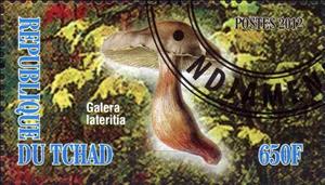 Stamp, Galera lateritia, Cinderellas,  , Mushrooms