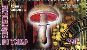 Stamp, Agaricus campestris, Cinderellas,  , Mushrooms