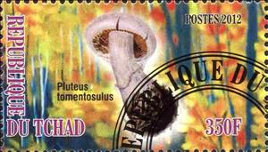 Stamp, Pluteus tomentosulus, Cinderellas,  , Mushrooms