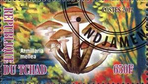 Stamp, Armillaria mellea, Cinderellas,  , Mushrooms