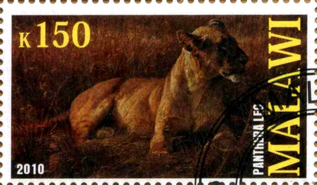 Panthera leo