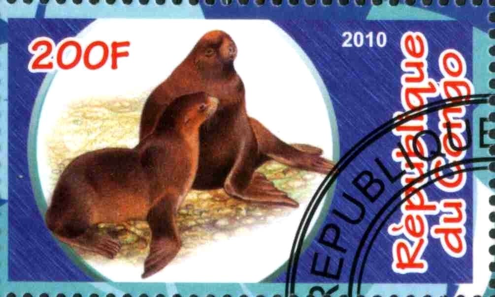 Marine mammals